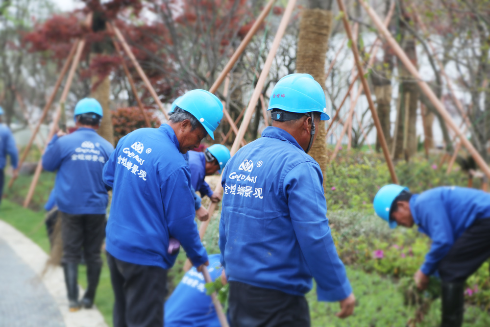 NG电子游戏·(中国区)官方网站