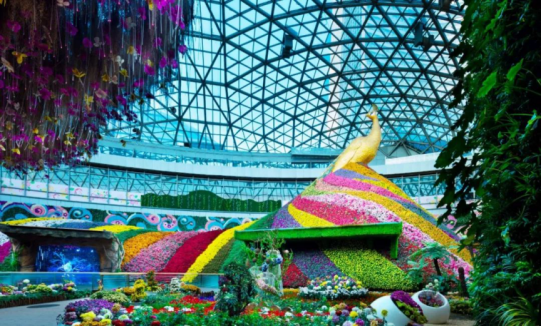 NG电子游戏·(中国区)官方网站