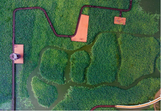 NG电子游戏·(中国区)官方网站