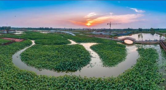 NG电子游戏·(中国区)官方网站