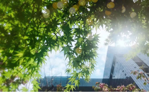 NG电子游戏·(中国区)官方网站