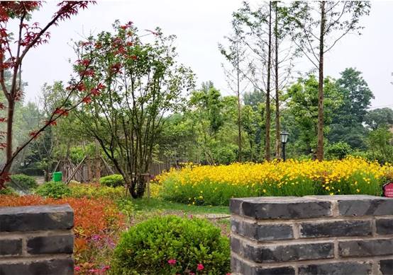 NG电子游戏·(中国区)官方网站