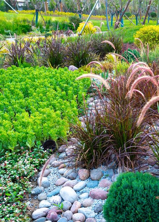 NG电子游戏·(中国区)官方网站