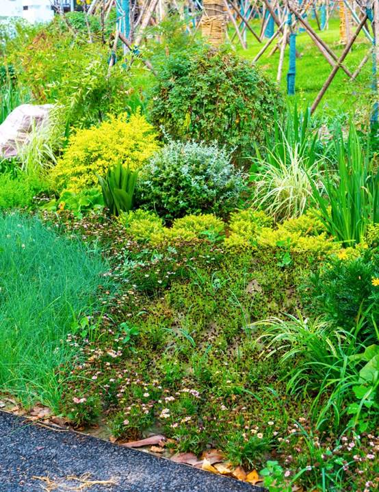 NG电子游戏·(中国区)官方网站